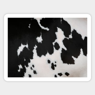 Cowhide Magnet